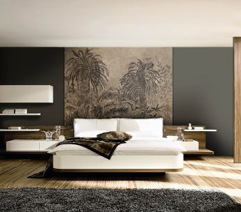 Décors panoramique 